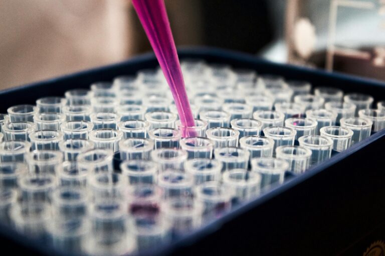 Zbliżenie na probówki laboratoryjne