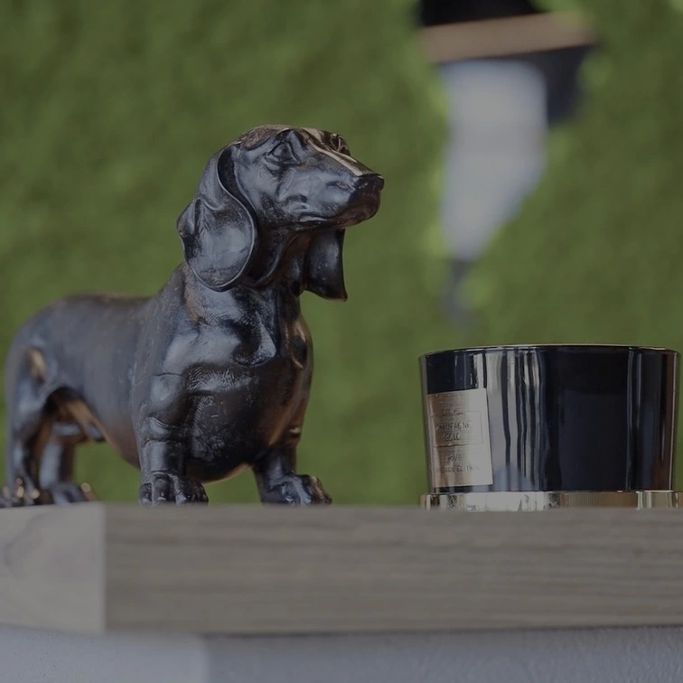 Figurka psa stojąca na recepcji w klinice weterynaryjnej Redline