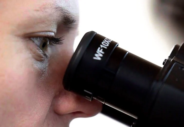 Weterynarz dermatolog badający próbkę przez mikroskop