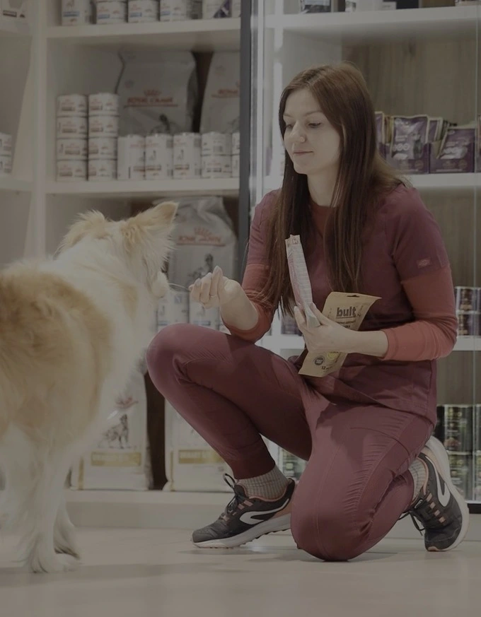 Pies karmiony smaczkami na tle ściany z karmami w klinice redline